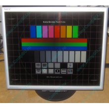 Монитор 17" TFT Nec MultiSync Opticlear LCD1770GX (Копейск)