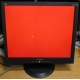 Монитор 19" ViewSonic VA903b (1280x1024) есть битые пиксели (Копейск)