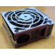 HP 224977 (224978-001) for Proliant ML370 G2/G3/G4 (Копейск).