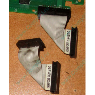 6017B0045701 Шлейф 24 pin для Intel C74974-401 T0043401-B01 корпуса SR2400 (Копейск)